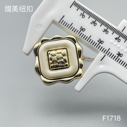 F1718 商品图4