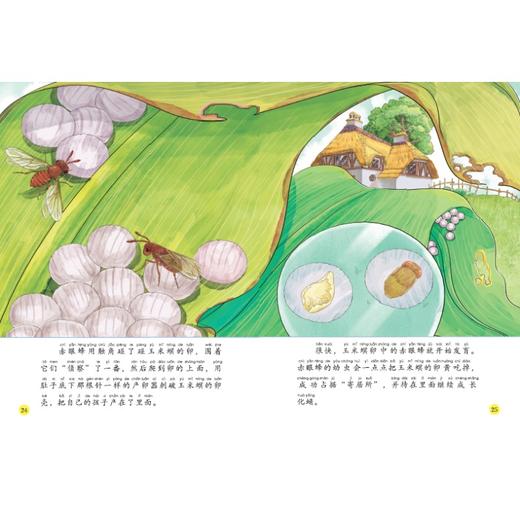 给孩子的法布尔昆虫记 商品图3