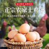 农家散养土鸡蛋40枚 商品缩略图0