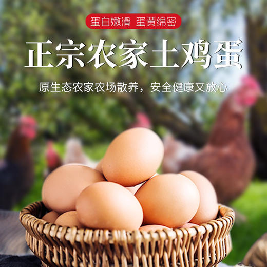 农家散养土鸡蛋40枚 商品图0