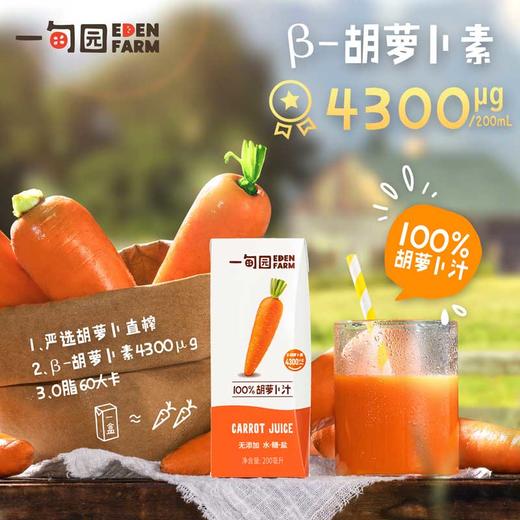 【健康果蔬汁】一甸园 番茄汁/蔬菜汁 /胡萝卜汁 商品图2