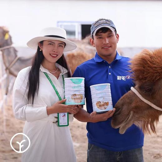 远方的梦想儿童有机驼乳粉380g 商品图5