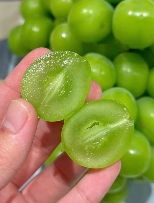 晴王·阳光玫瑰葡萄（超甜）自带果香 皮薄不涩嘴 商品图4