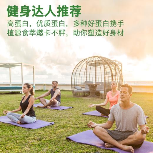 识萃麻荞蛋白脆160g（10块）/盒  A-1935 商品图11