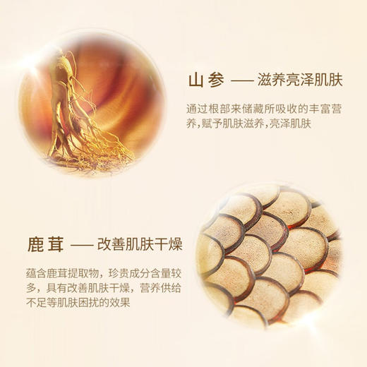 后天气丹花献光彩紧颜系列礼盒(308ml)6件套 商品图2