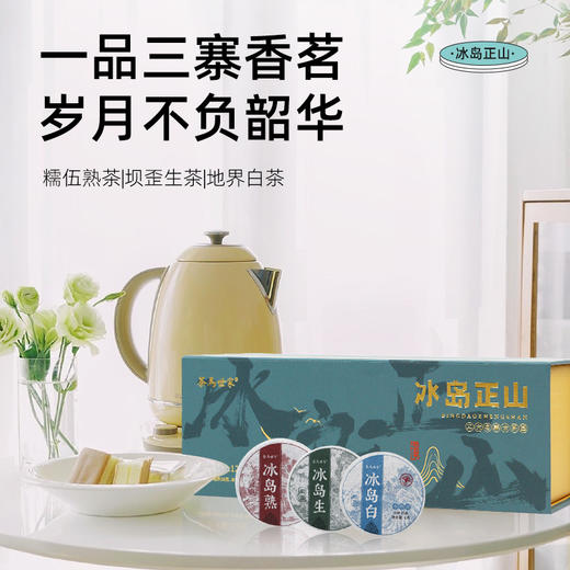 茶马世家冰岛正山小玉饼云南古树生熟普洱地界白 商品图5