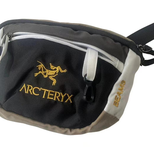 Arcteryx 始祖鸟 x PALACE联名款 大容量 腰包挎包 商品图9