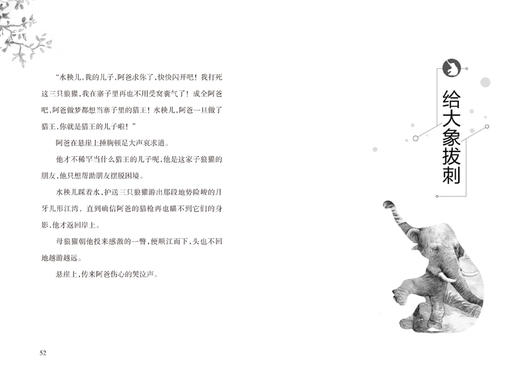 动物小说大王沈石溪品味成长书系（6册） 商品图9