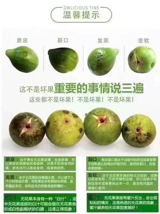 海南花香蜜无花果 商品图6