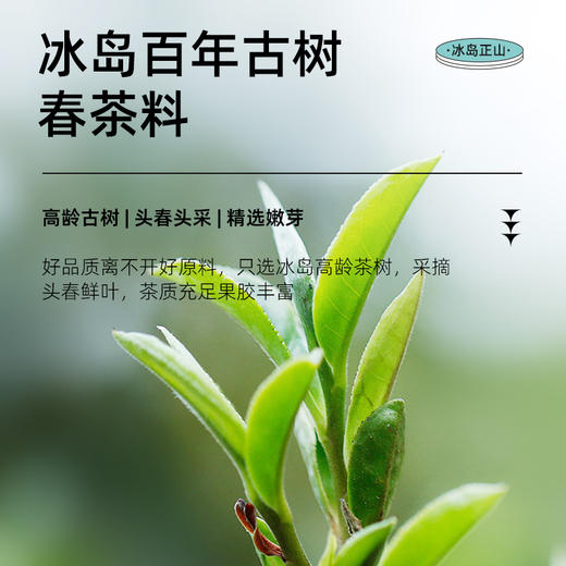 茶马世家冰岛正山小玉饼云南古树生熟普洱地界白 商品图7