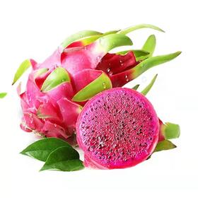 【临高】海南火龙果 约8.5斤(4.25KG) （只发广东省内 ）