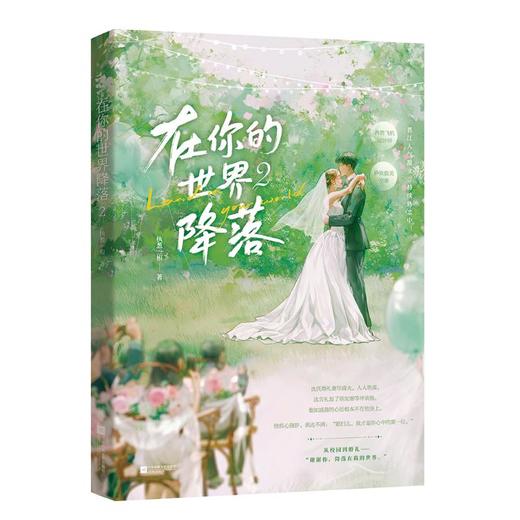 在你的世界降落 2 商品图0