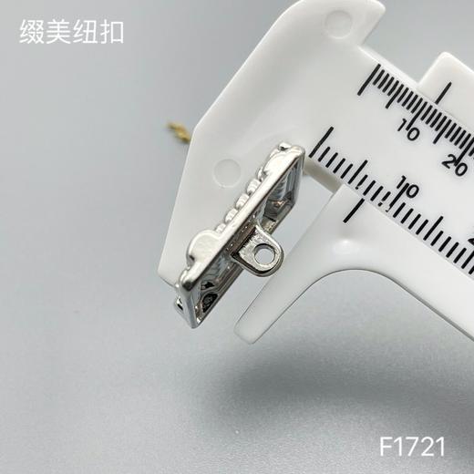 F1721 商品图5