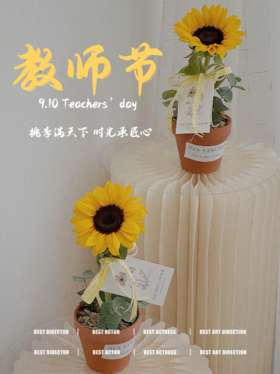 教师节：匠心时光 · 桌面盆栽