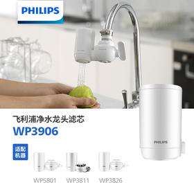 飞利浦（PHILIPS）家用龙头净水器滤芯WP3906 两支装 适用于净水龙头CM-999/WP3826,AWP3866,WP5801