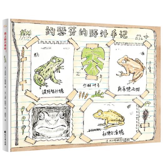 追上那只青蛙 3-8岁精装 爆笑故事 冒险精神 哲学思辨 儿童绘本 商品图1