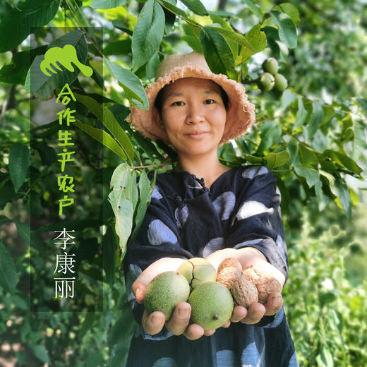 野生鲜核桃（圆通，九折）| 合作生产* Feral fresh nut | Coprodution 商品图1