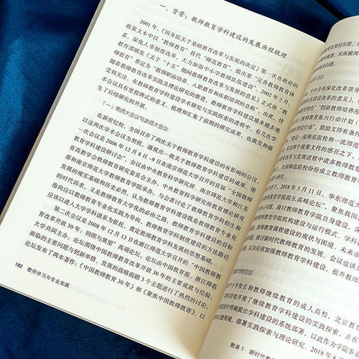 教师学习与专业发展 历史回溯与未来展望 大夏书系 教师学习 论文集 商品图11