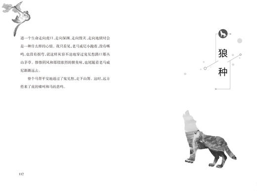 动物小说大王沈石溪品味成长书系（6册） 商品图10