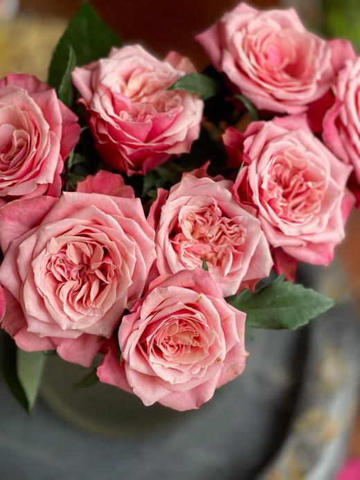 闺蜜玫瑰【我们散落各地，我们灵魂相依】简小姐精选奥斯汀花型 复色新品玫瑰 闺蜜 2件顺丰包邮 基地直发 商品图6