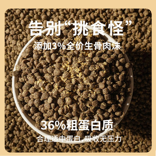 心选丨【金装版】大腮帮全价冻干猫粮 3斤/包 鲜鸭肉梨生骨肉沫无谷 商品图3