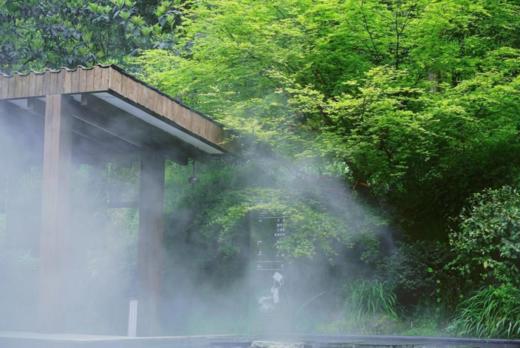 双11特惠【青城山·坐忘森林】799元享和式榻榻米房+每日定制双人早餐+星辰汤温泉+早中晚酒店公开课体验，有效期-2024.12.29 商品图10