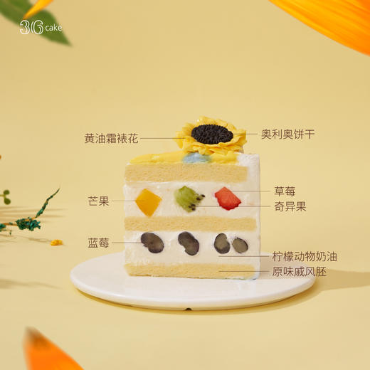梵高向日葵·柠檬鲜果蛋糕，可选 1.5/2.5 磅-冰淇淋口味仅限深圳广州佛山可选 商品图4