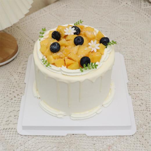 夏季芝士水果蛋糕 商品图3