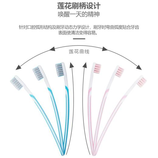 双莲高密度螺旋毛牙刷(L型)/117748 颜色随机莲花刷柄设计唤醒一天的精神 商品图1