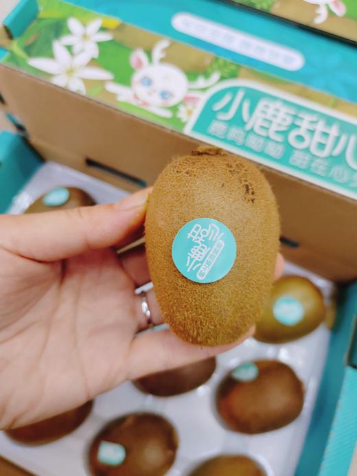 小鹿甜心奇异果一箱（小箱） 商品图3