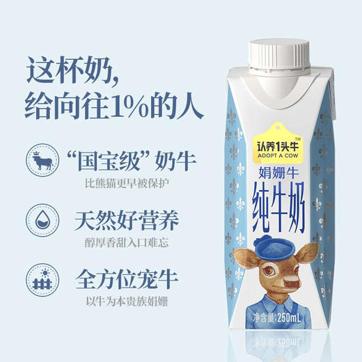 认养一头牛娟姗奶250ml×10盒 一提装 商品图1