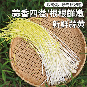 农家蒜黄  生态种植  自然成熟  每日现摘  鲜嫩不辛辣  400g