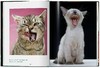 【现货】Walter Chandoha. Cats. Photographs 1942–2018 | 沃尔特·尚多哈：猫咪摄影集 1942–2018 商品缩略图3