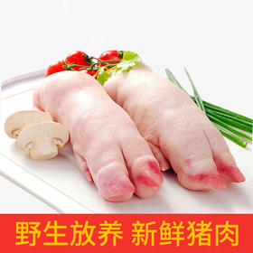 山西立景母乳山农家散养正宗黑猪肉新鲜猪蹄现杀真空