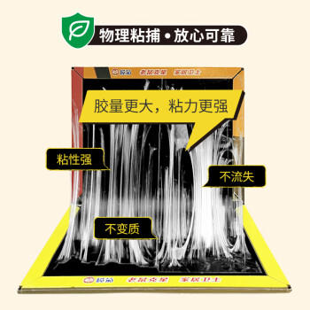 榄菊老鼠贴10片超强力粘鼠板捕鼠贴抓老鼠胶 加大加强 商品图6