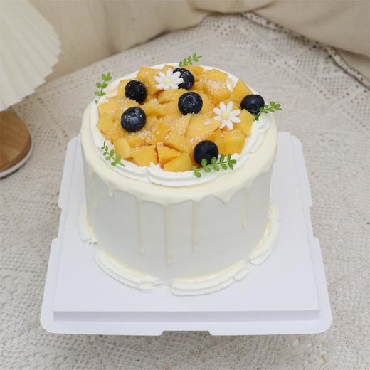 夏季芝士水果蛋糕 商品图0