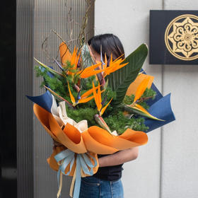 《放飞希望》鹤望兰花束