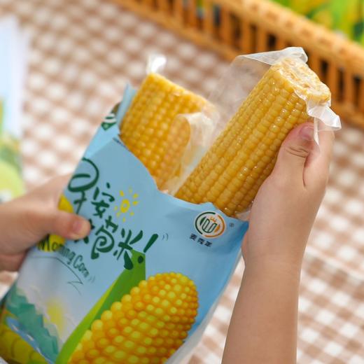 麦秀年【早安大苞米】无添加，东北黄金甜糯玉米 早餐营养粗粮 商品图5