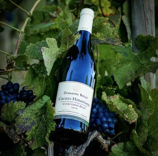 第216期丨百乐庄园路易百乐干红 商品图3