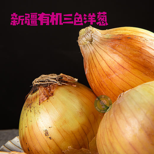 新疆有机三色洋葱 净重2.5KG ,紫 / 黄 / 白皮精品混装 商品图2
