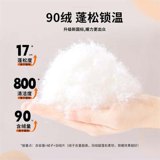 贝贝怡童装男童格纹拼接羽绒裤子冬季男宝宝防风防寒保暖束脚裤234K2526
 商品图7