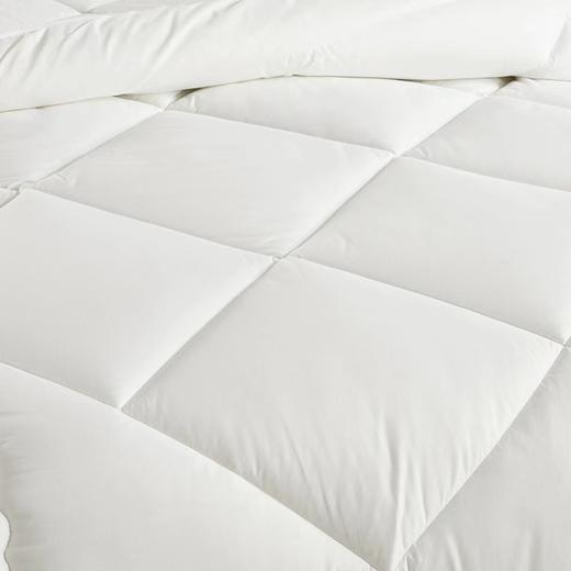 【堂皇】B7F欧洲进口抗菌羊毛（填充物重量：2000g） 商品图2