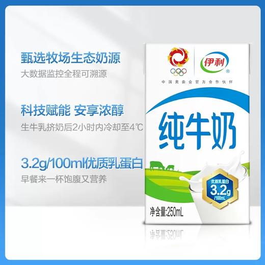 伊利纯牛奶250ml*16支 商品图1