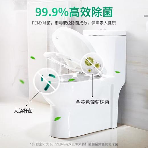 贝纯清新洁厕啫喱（森林清新）-促销装-500g+500g-1284 家庭必备 有效期26.7月 商品图4