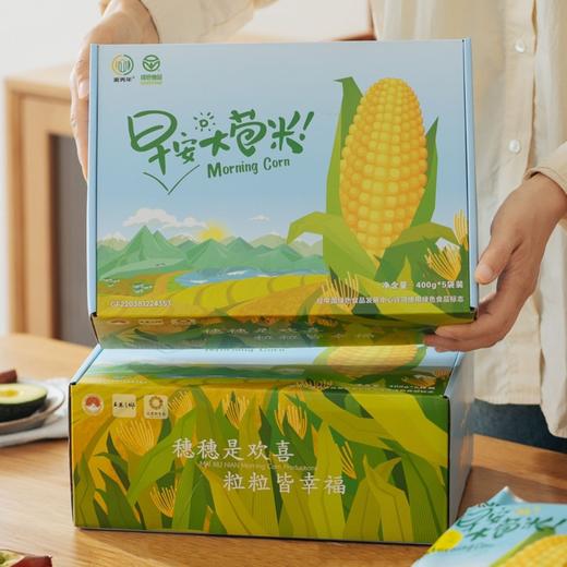 麦秀年【早安大苞米】无添加，东北黄金甜糯玉米 早餐营养粗粮 商品图1
