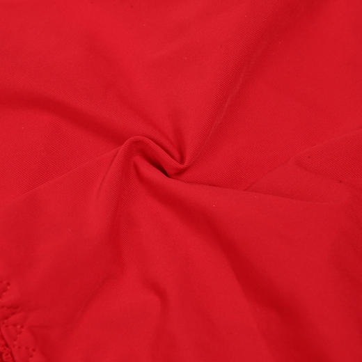 都市丽人薄透丝滑蕾丝+泳布三角女士内裤纯色内裤新年本命年红品YP32A2 商品图3