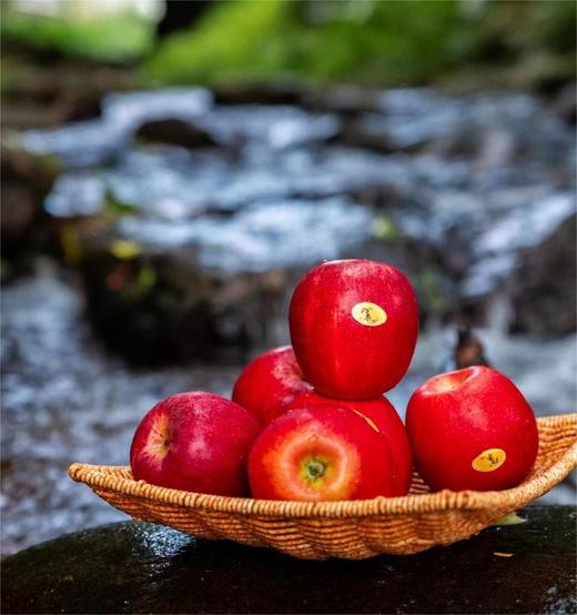 7号红玫瑰苹果礼盒 |水果 商品图1