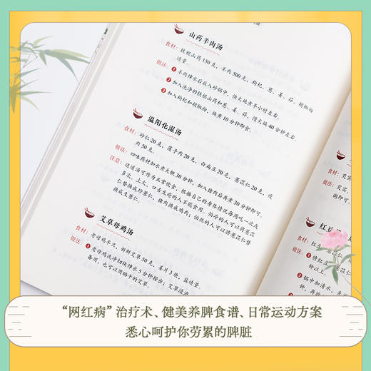 养脾三步走：祛湿、补虚、养气血 商品图6