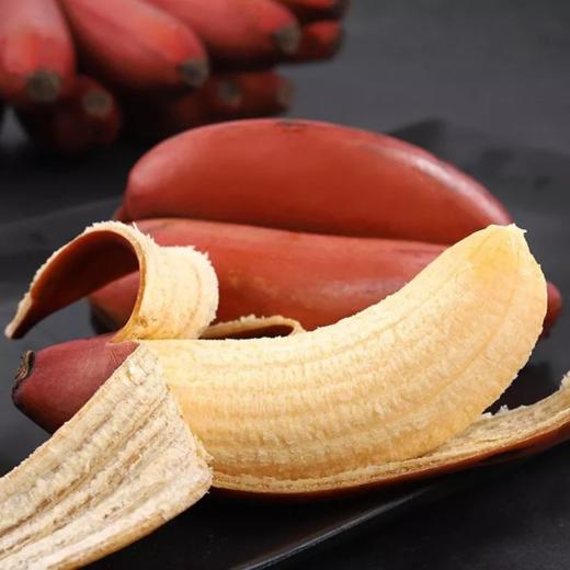 杞冠严选 | 福建阿戴哥农场 香蕉 净重5斤/箱 发酵绿肥 红皮/黄皮或混合 年年满分通过农残检测 农场申通发货 0度以下缓发 商品图5