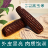 田里有草黑玉米 FX-A-1183-231124 商品缩略图2
